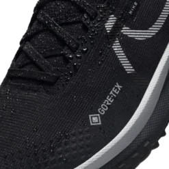 Nike Pegasus Trail 4 Gore-Tex Waterproof Trail Running Shoe - Women's -Terra Flex Shoes Shop 1129666 800 auto