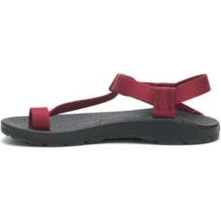 Chaco Bodhi Sandal - Women's 12 Chaco Bodhi Sandal - Women's -Terra Flex Shoes Shop 1222612 800 auto
