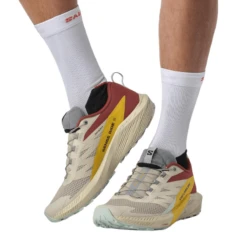 Salomon Sense Ride 5 Shoe - Men's -Terra Flex Shoes Shop 1252649 800 auto