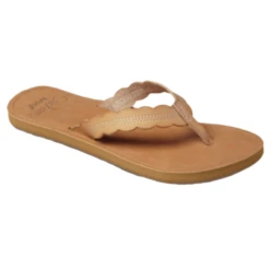REEF Cushion Celine Flip Flop - Women's -Terra Flex Shoes Shop 996036 800 auto